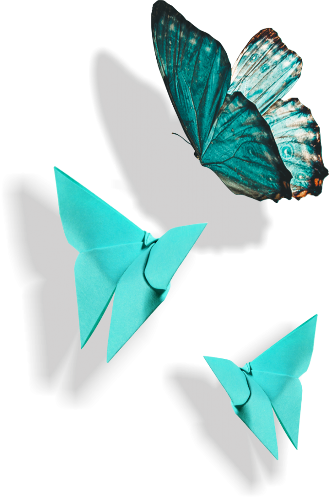 mariposas nostrecos
